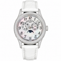 Patek Philippe White Gold Annual Calendar Full Diamond MOP Dial